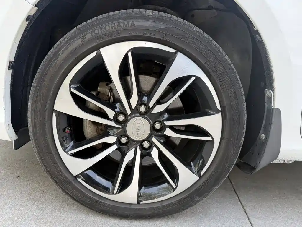 BYD Qin New Energy 2015 2015 1.5T Double Champion Flagship Plus