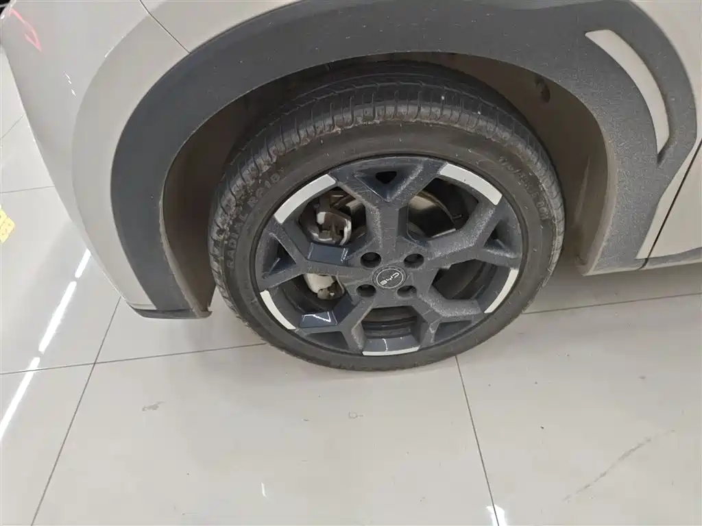 BYD Seagull 2025 305km Freedom фото 25