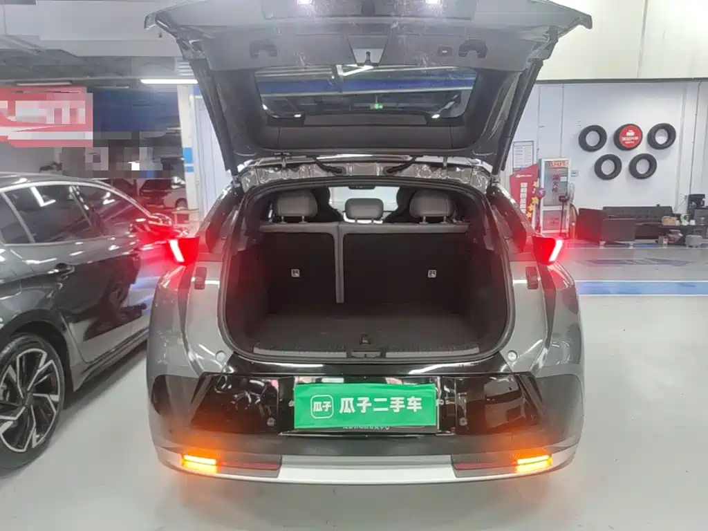 Lynk & Co Z20 2024 2025 530km RWD Max