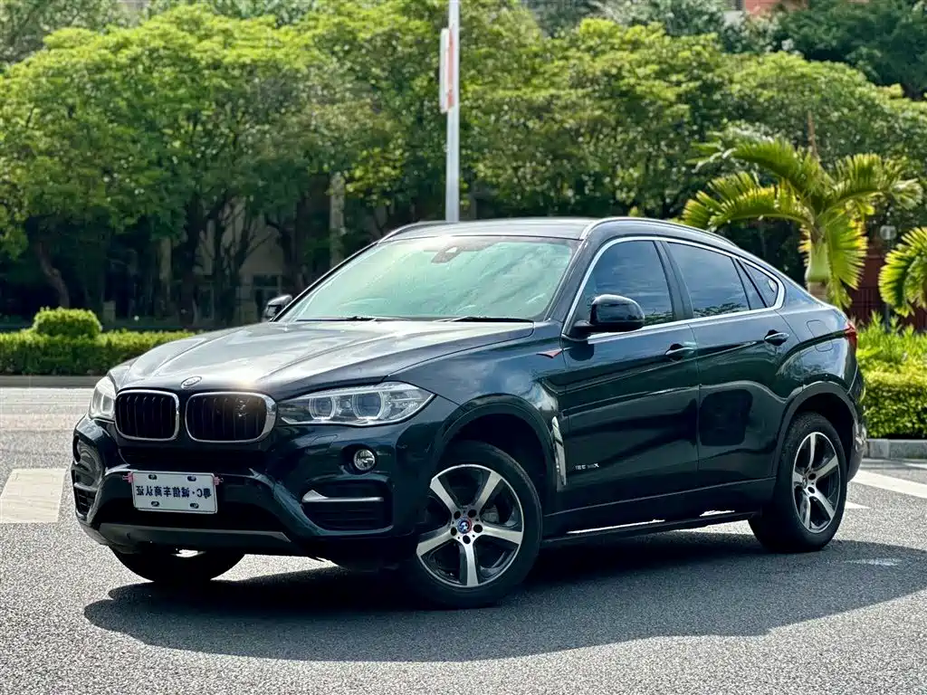 BMW X6 2015 xDrive35i Leading Type