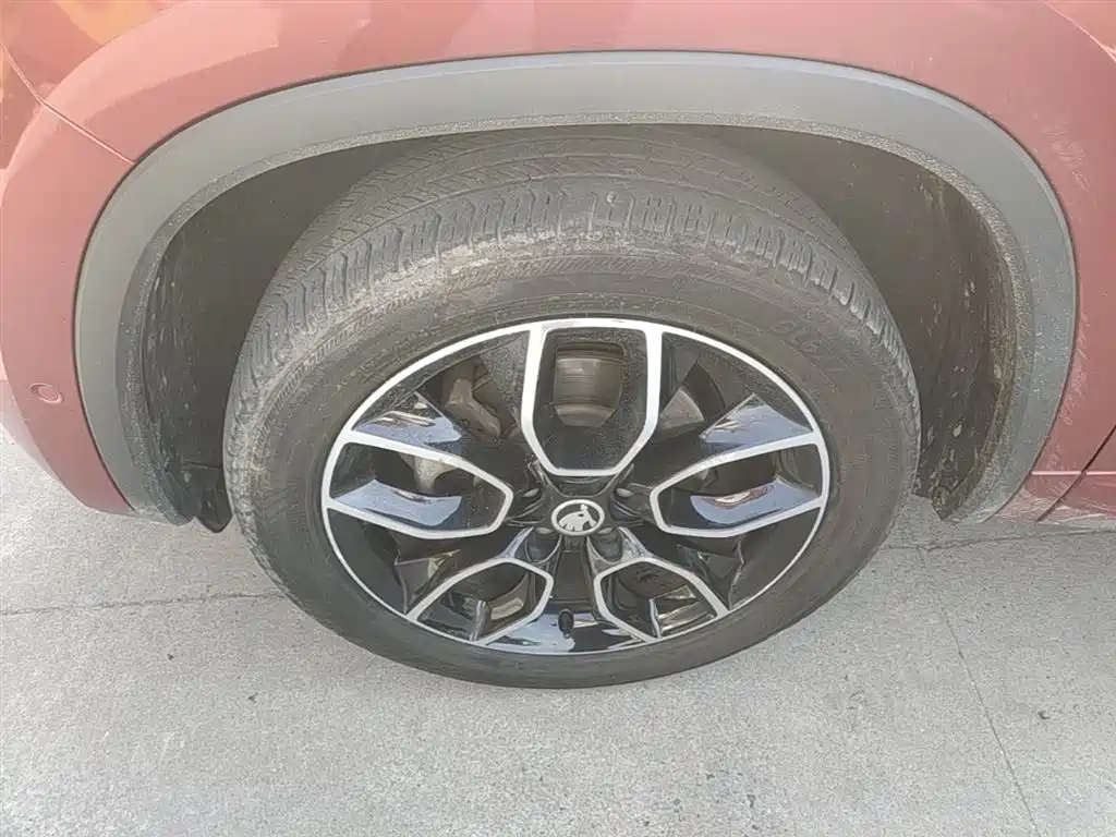 Škoda Kodiaq GT 2019 TSI330 2WD Luxury Edition China V фото 21