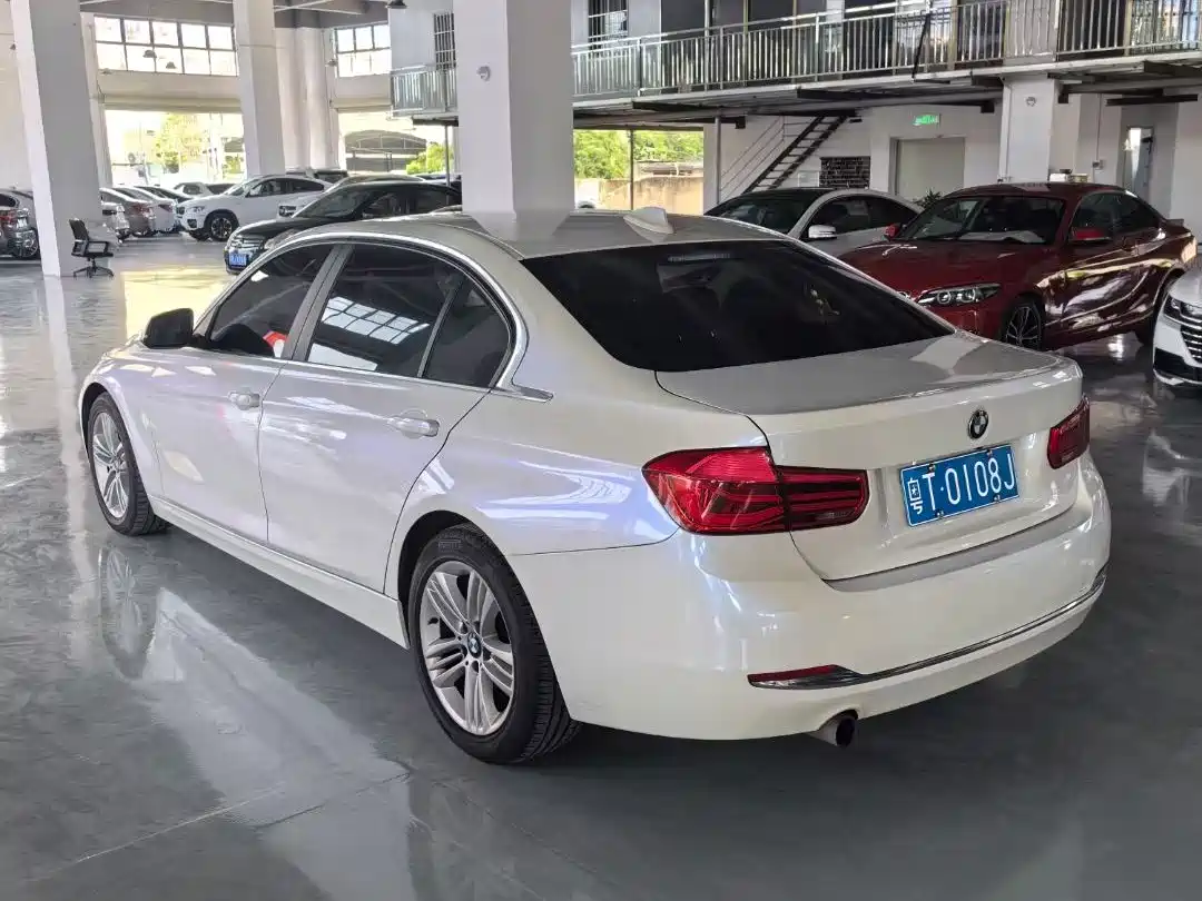 BMW 3 Series 2016 320Li Progressive фото 4