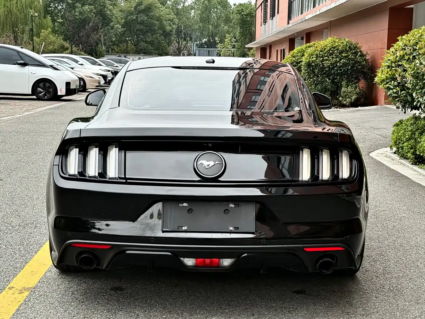 Ford Mustang 2017 2.3T Performance Edition фото 13