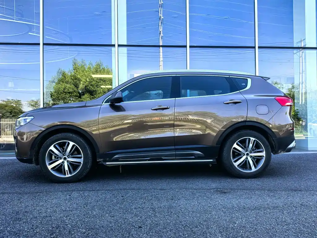 صورة 3 - Haval H6