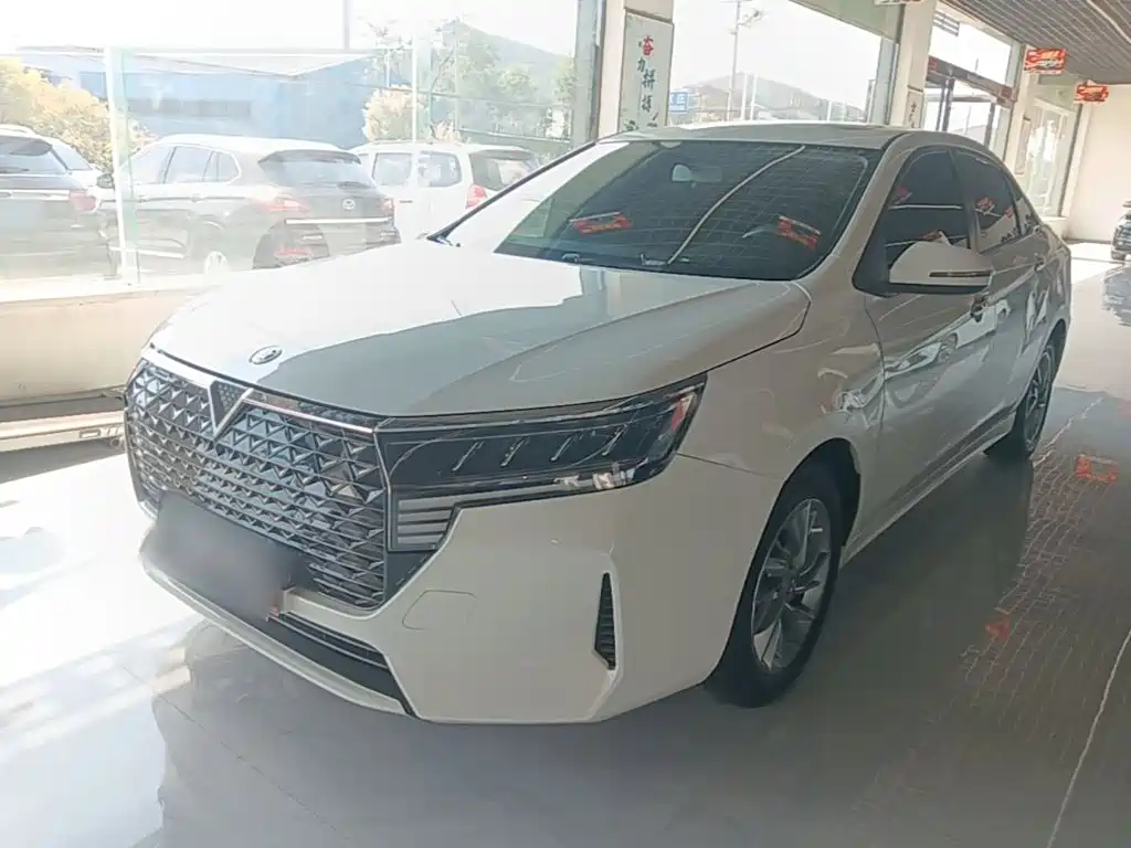 2024 Venucia D60