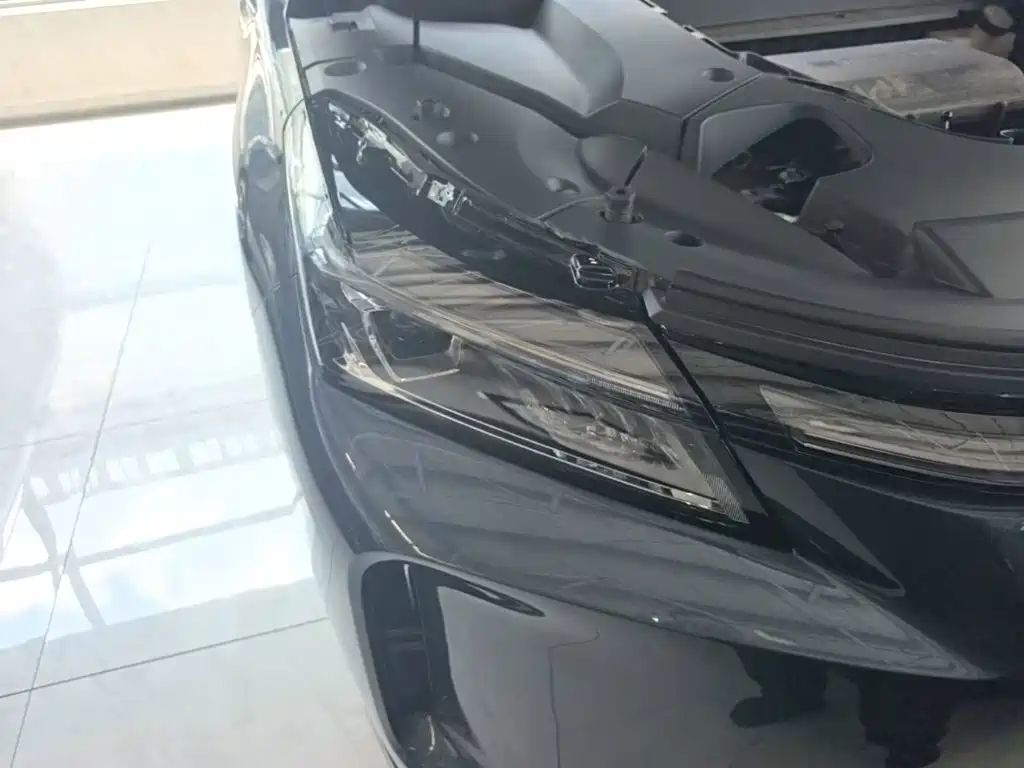 Landian E5 PLUS 2025 2025 165km Long Range 7-seater
