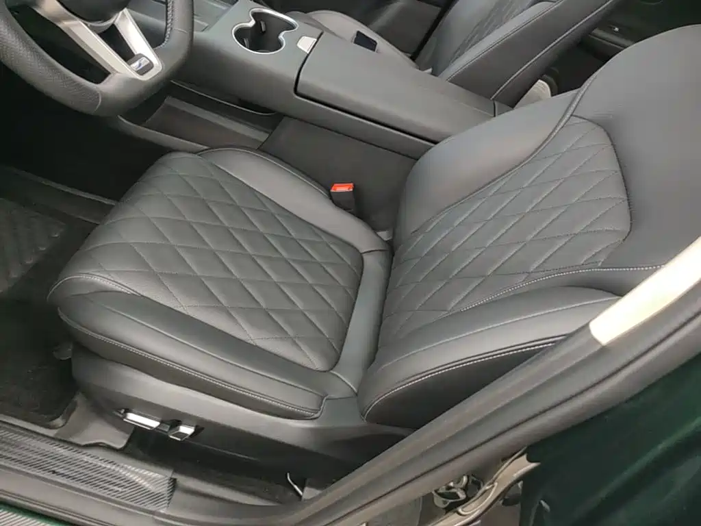 Landian E5 PLUS 2026 2026 165km Long Range First Edition Ultra 7-Seater
