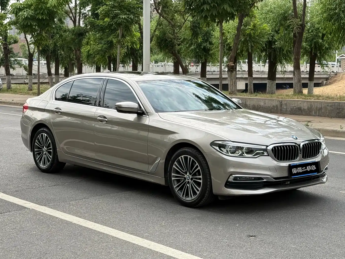 BMW 5 Series 2019 530Li Premium Luxury Package фото 3