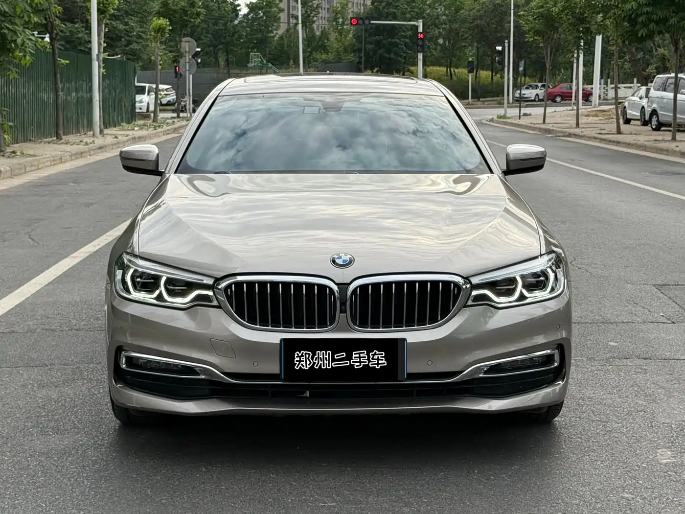 BMW 5 Series 2019 530Li Premium Luxury Package фото 2