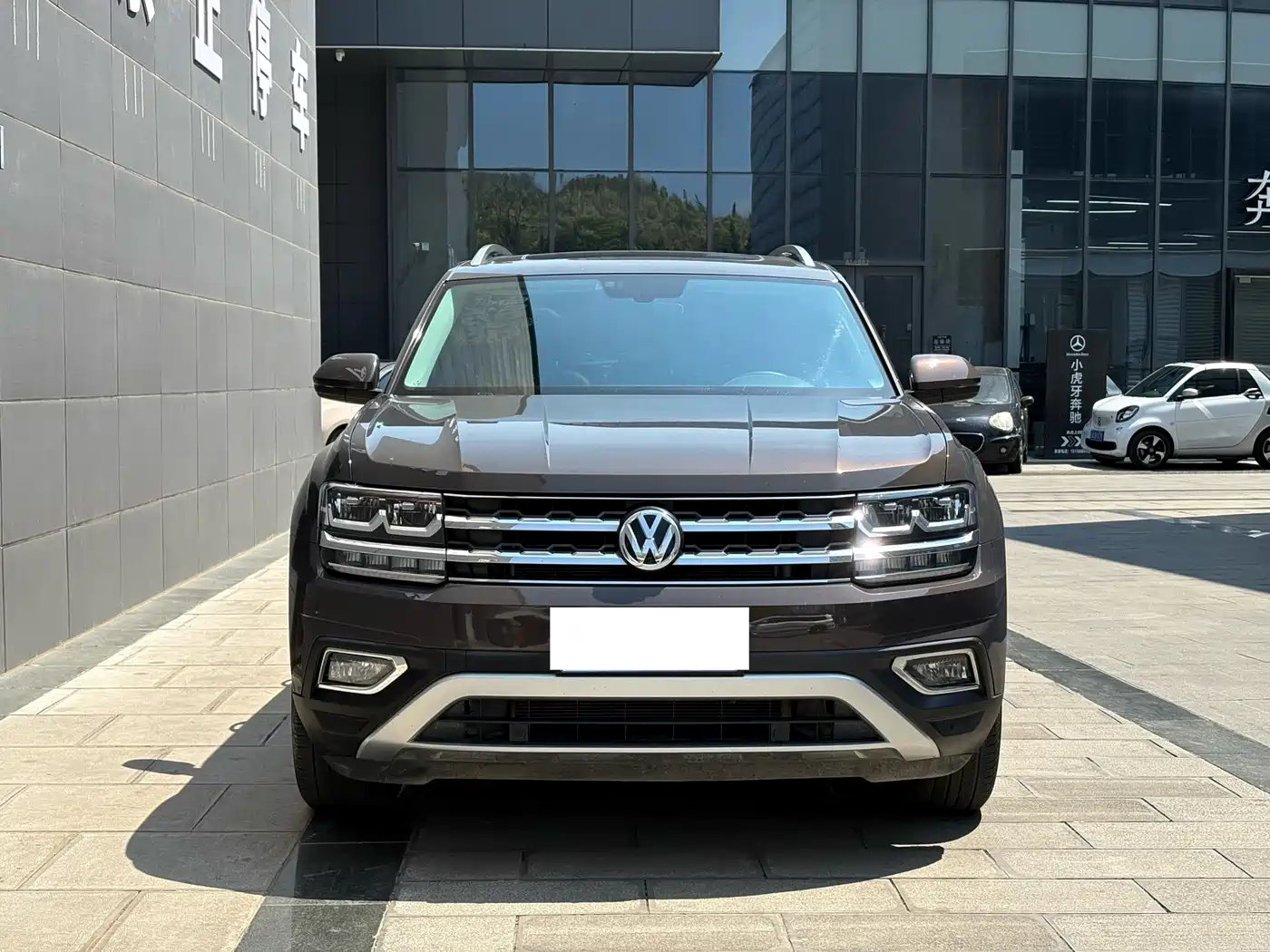 Volkswagen Teramont 2020 380TSI 4WD Luxury Edition China VI фото 2
