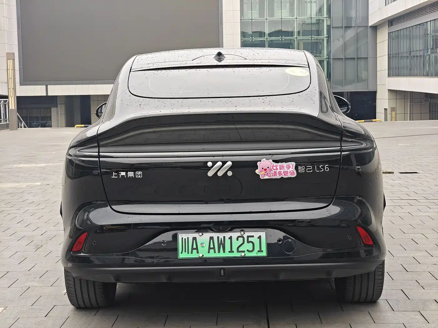 ZHIJI AUTOMOBILE ZHIJI LS6