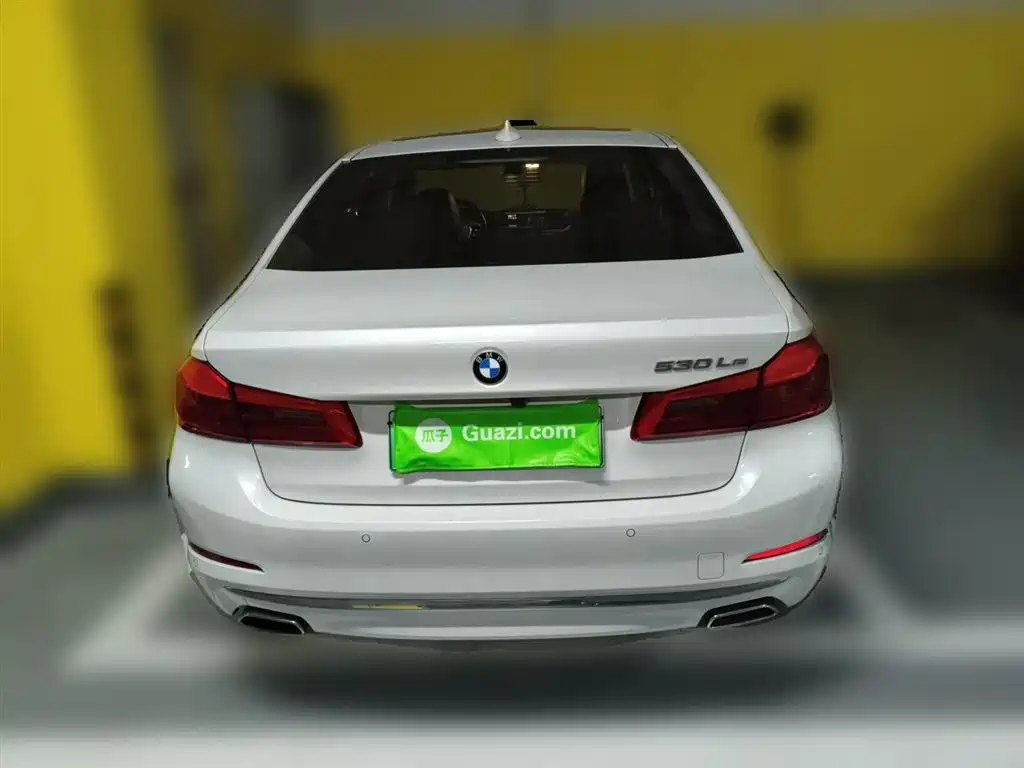 BMW 5 Series New Energy 2020 530Le Range Upgrade Luxury Package фото 5
