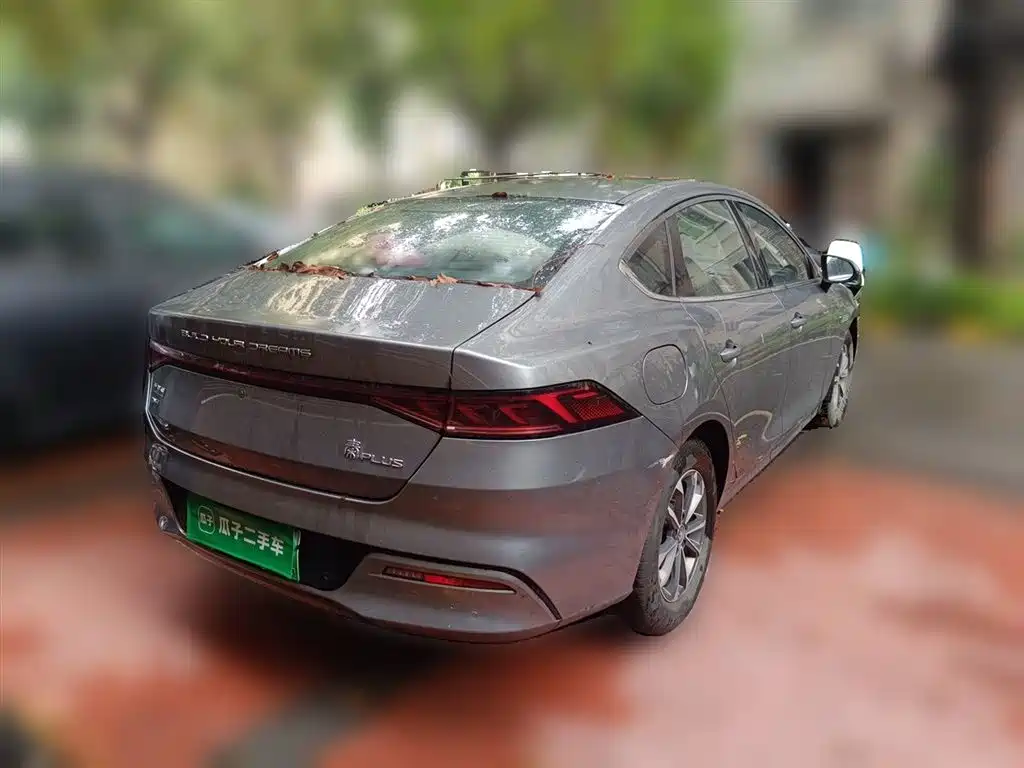 BYD Qin PLUS 2023 Champion Edition DM-i 55KM Leading фото 6