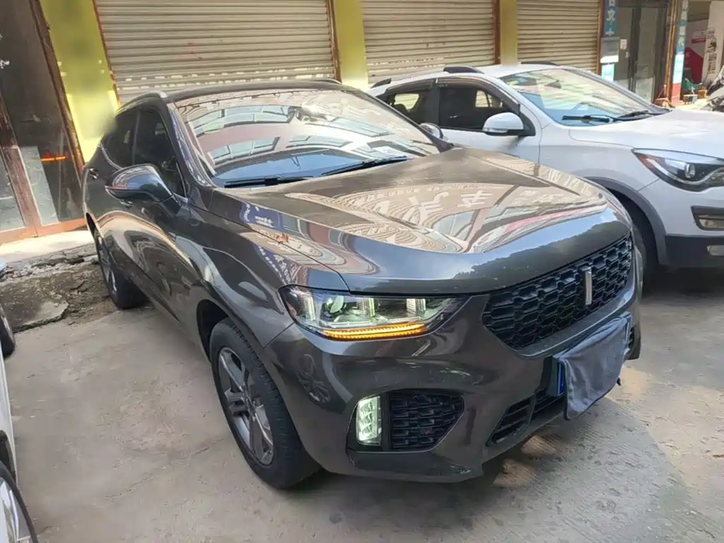 WEY VV5 2019 2019 1.5T 2WD Smart Pioneer