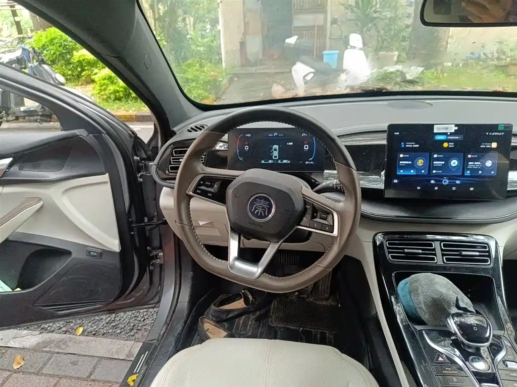 BYD Qin PLUS 2023 Champion Edition DM-i 55KM Leading фото 11
