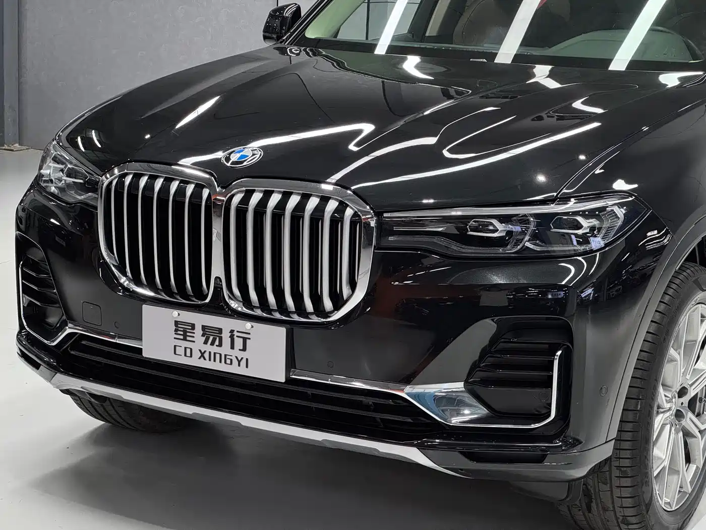 BMW X7 2020 xDrive40i Leading Luxury Package фото 11