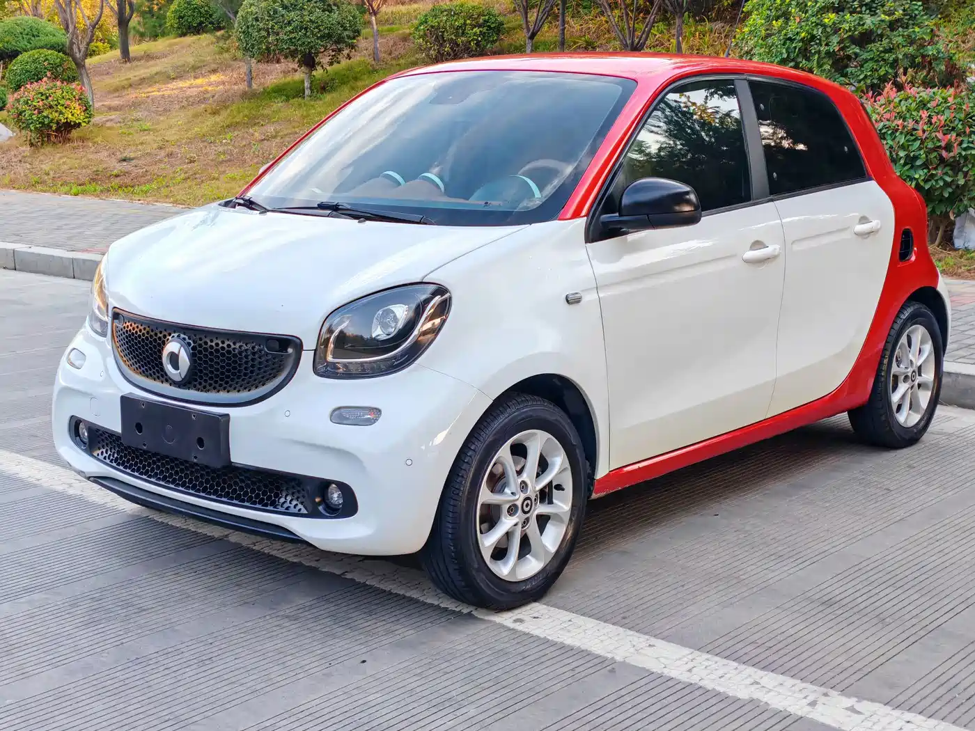 smart forfour 2016 — пригон из Китая