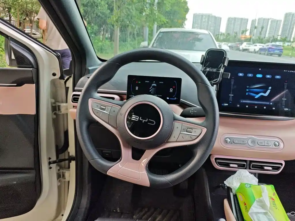 BYD Seagull 2026 2025 Smart Drive Edition 305km Vitality Version