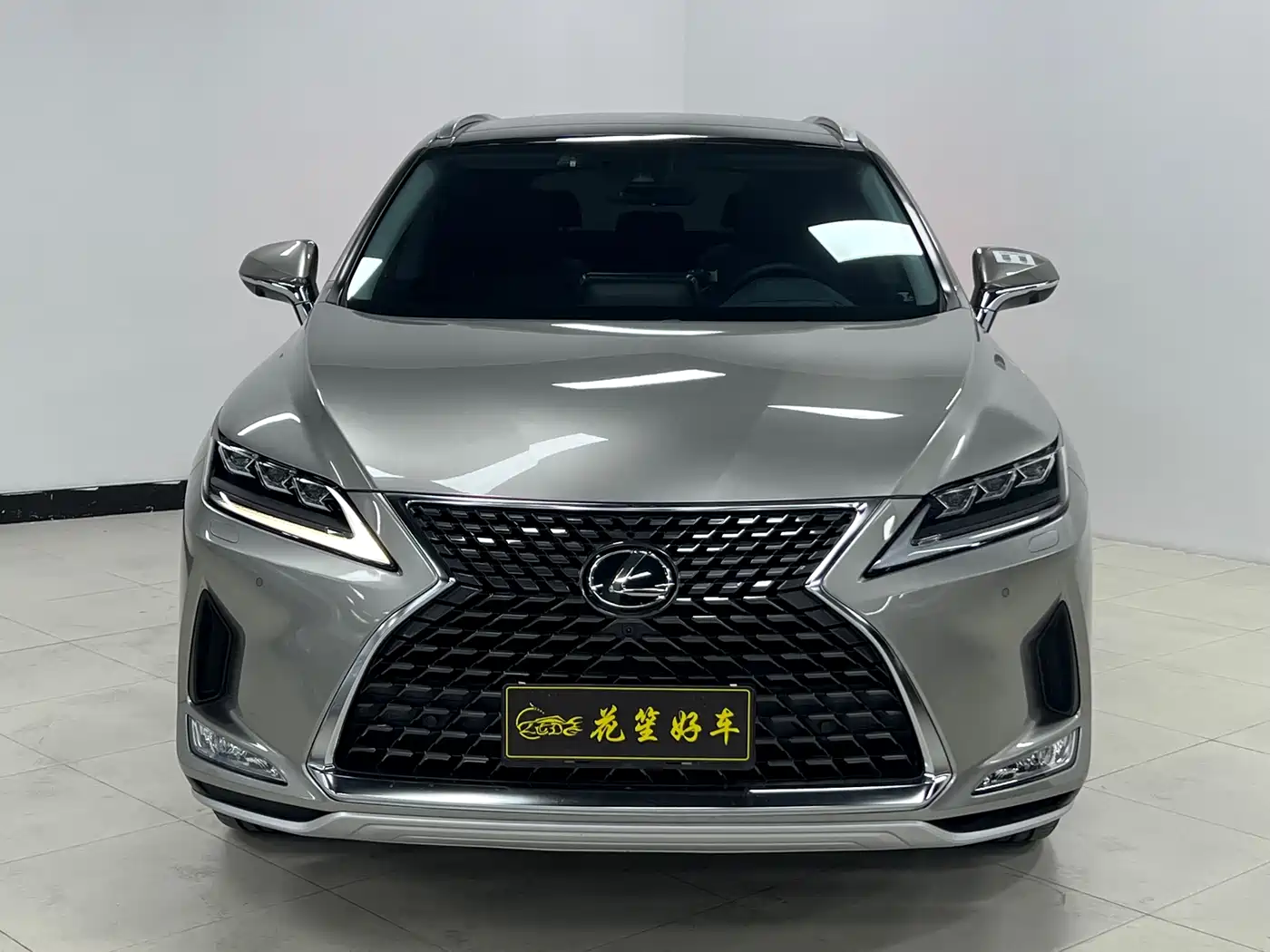 Lexus RX 2020 300 4WD Elegance Edition China VI фото 2
