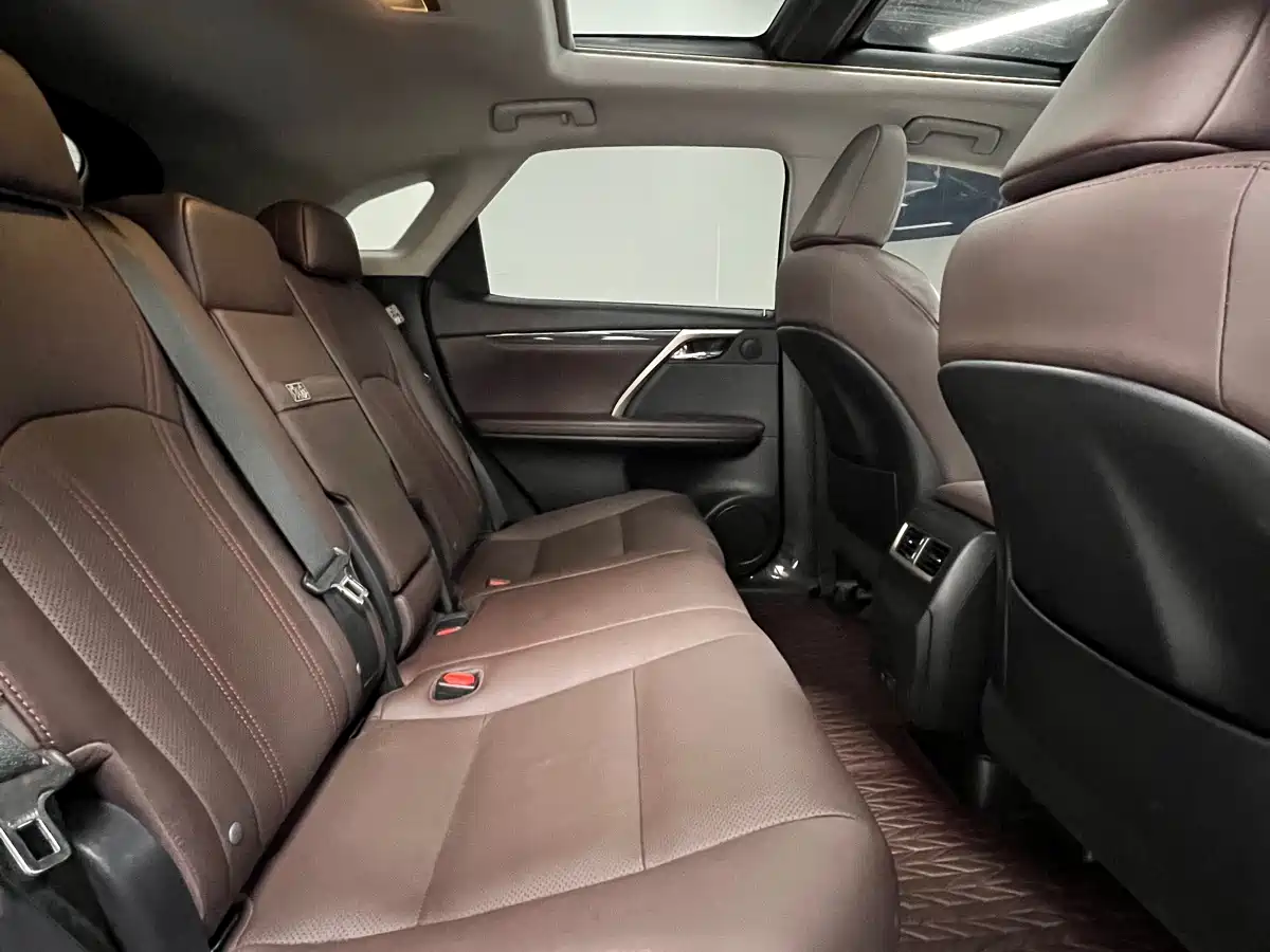 Lexus RX 2020 300 4WD Elegance Edition China VI фото 10