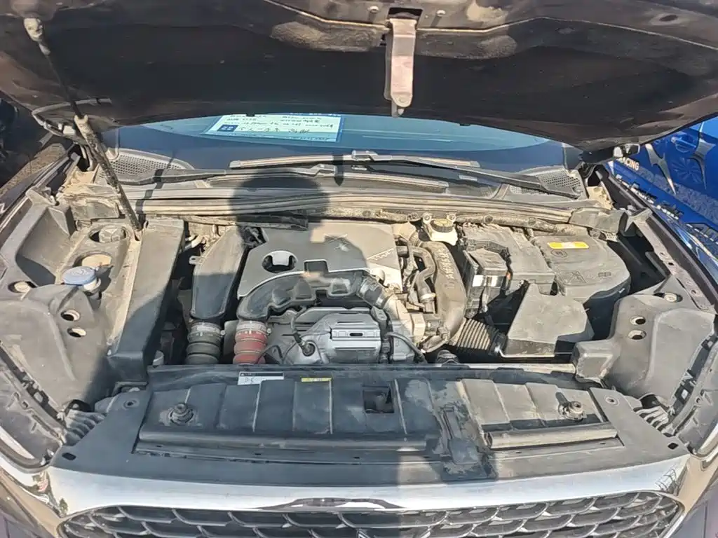 DS 6 2016 2016 1.6T Luxury THP160