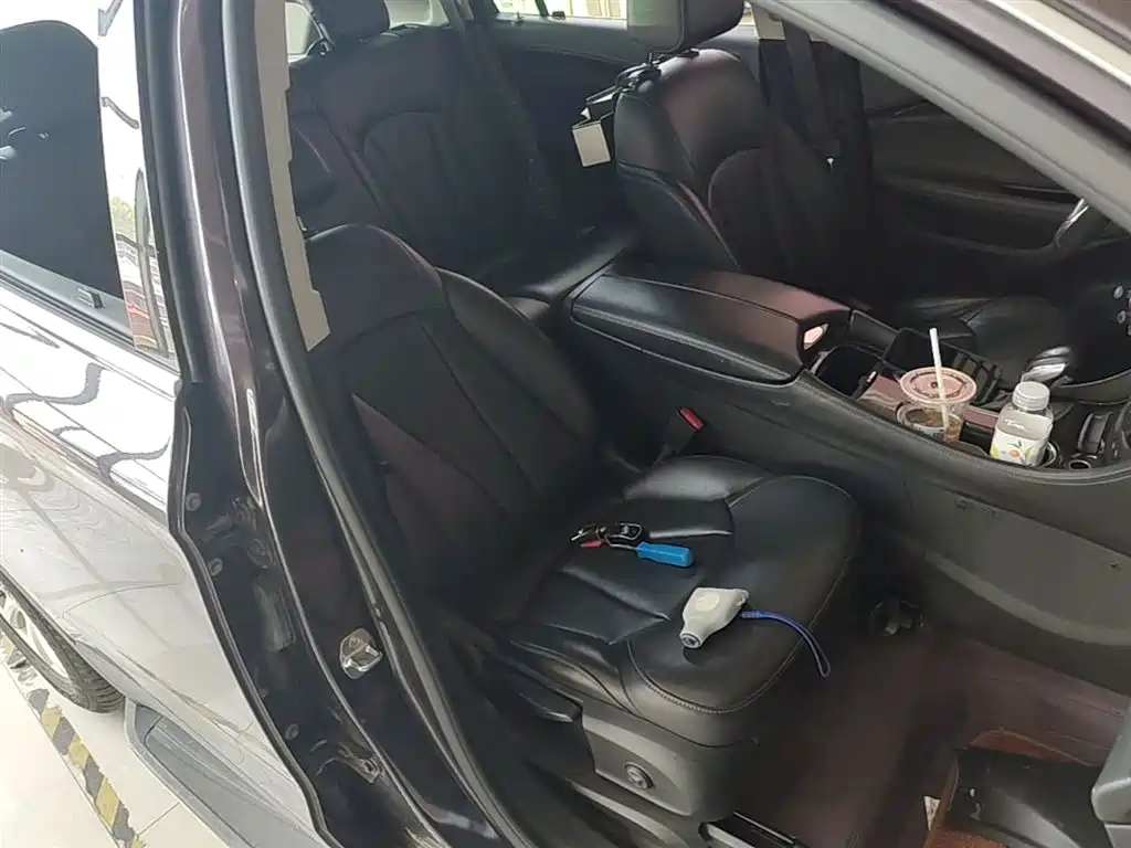Buick Envision Plus 2018 20T 2WD Elite фото 25
