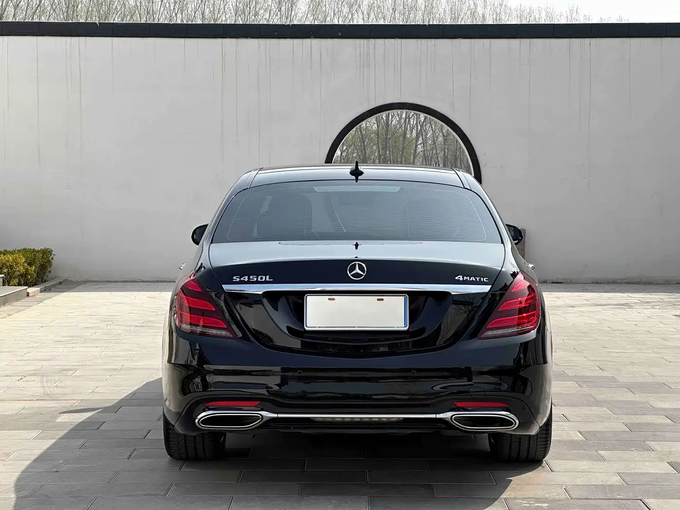 Mercedes-Benz S-Class 2019 S 450 L 4MATIC фото 14