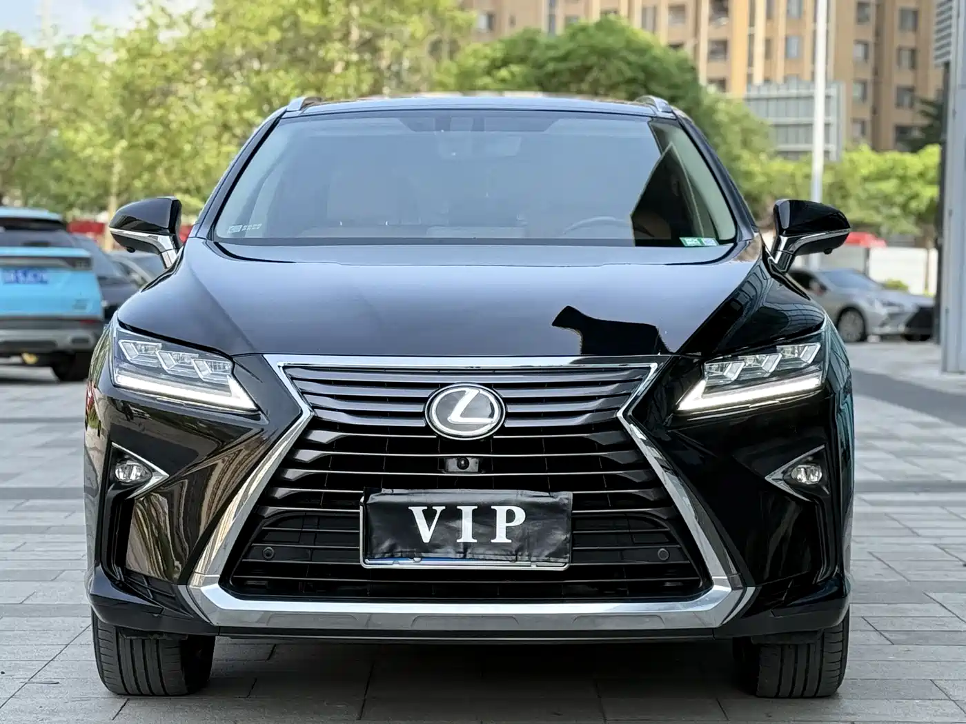Lexus RX 2016 300 4WD Elegance Edition (China V) фото 2