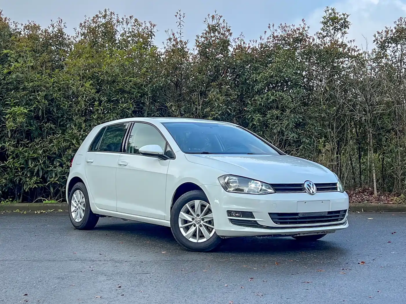 Volkswagen Golf 2016 1.6L Automatic Fashion фото 3