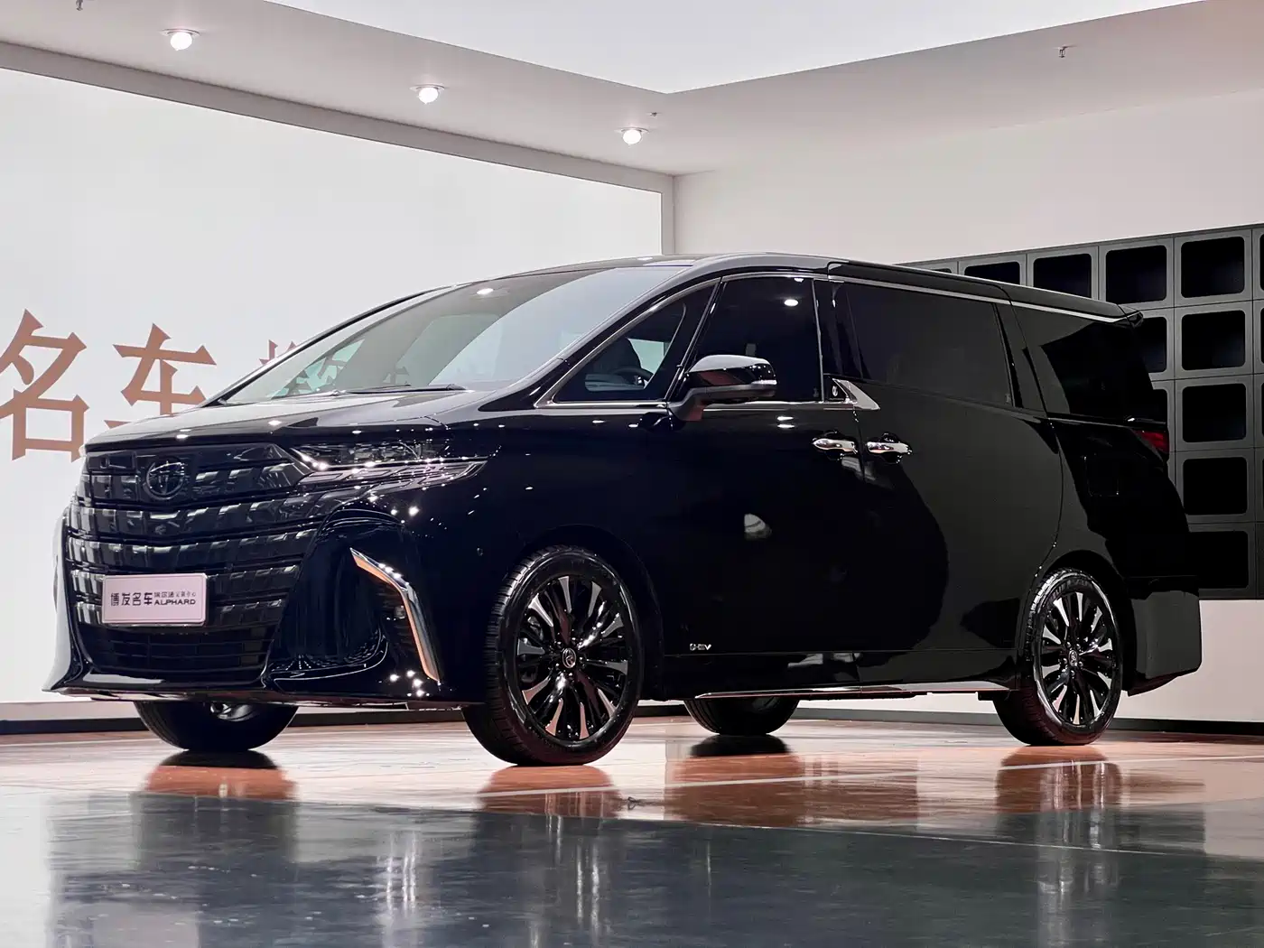 TOYOTA ELFA 2025