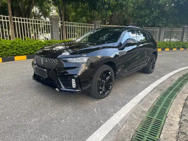 WEI PAI WEI BRAND VV7