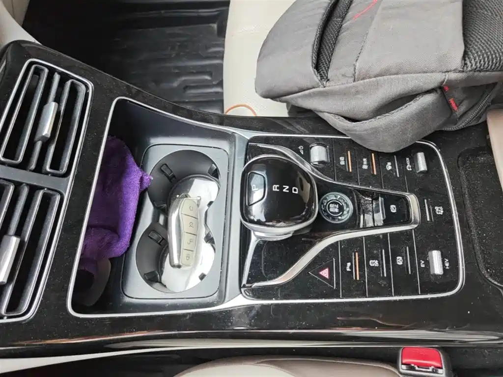 BYD Qin PLUS 2023 Champion Edition DM-i 120KM Excellence фото 14