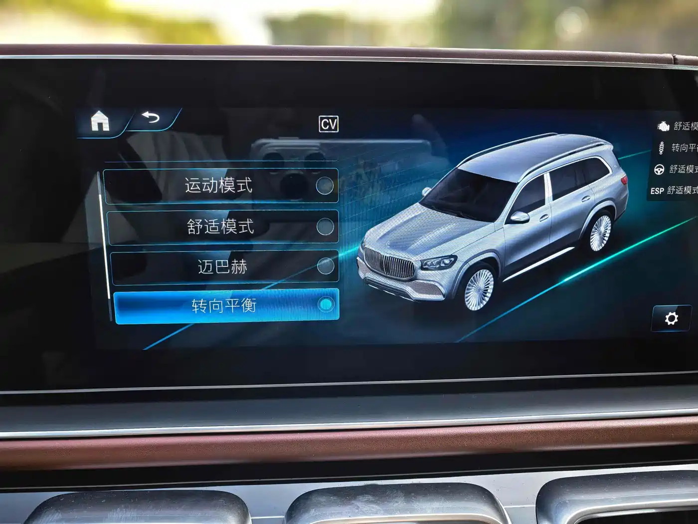 Mercedes-Benz Maybach GLS 2021 GLS 600 4MATIC Etiquette Edition фото 14
