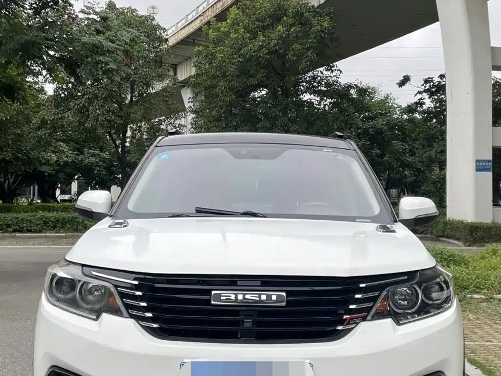 Bisu Auto Bisu T3 2017 2017 1.3T Manual Premium