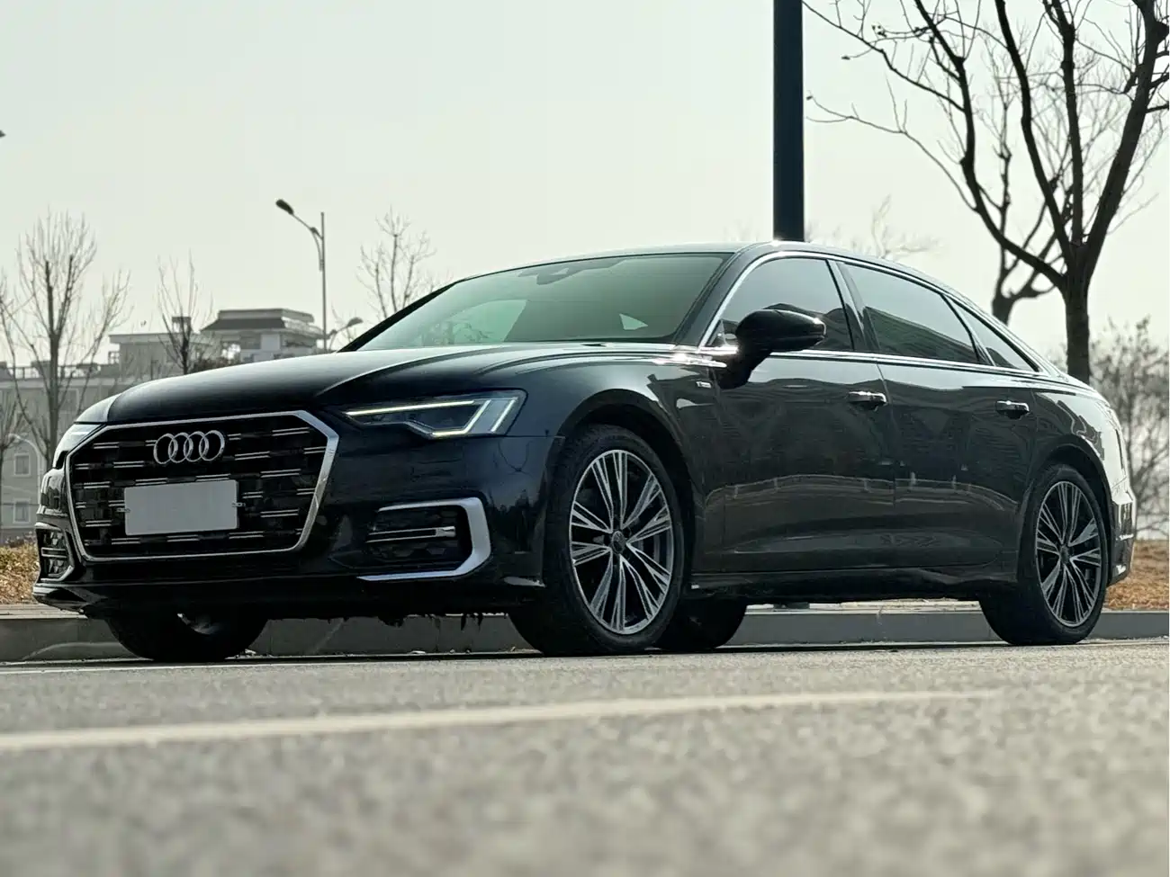 Audi A6L 2023 Facelift 40 TFSI Luxury Dynamic фото 2