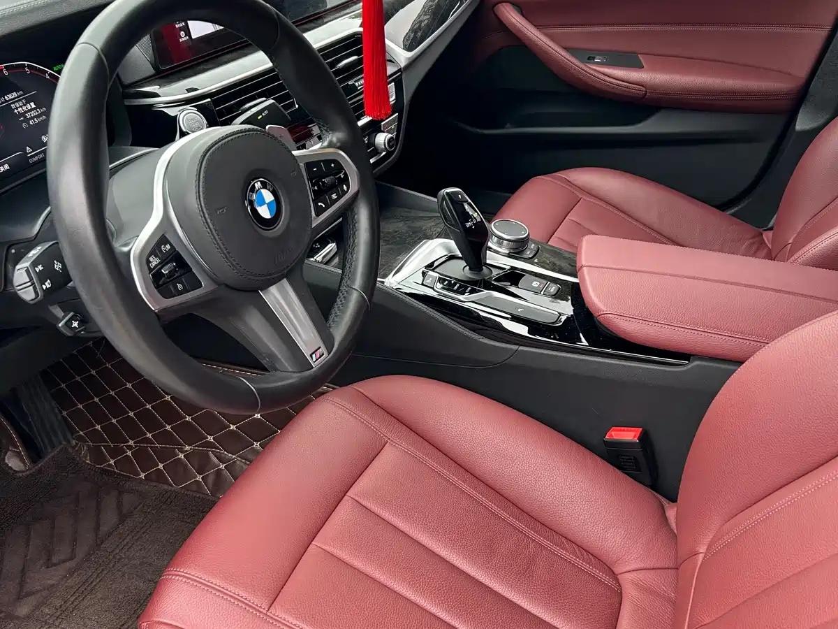 BMW 5 Series 2020 Model 530Li xDrive M Sport Package фото 8