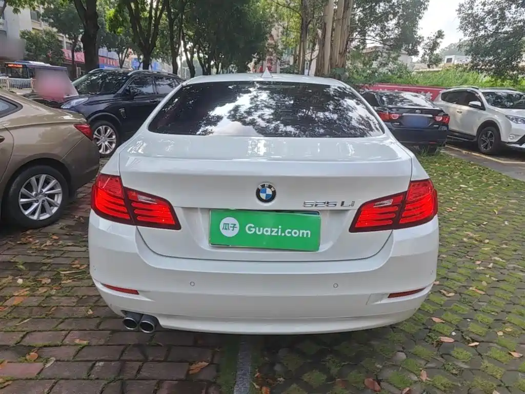 BMW 5 Series 2014 525Li Leading фото 6