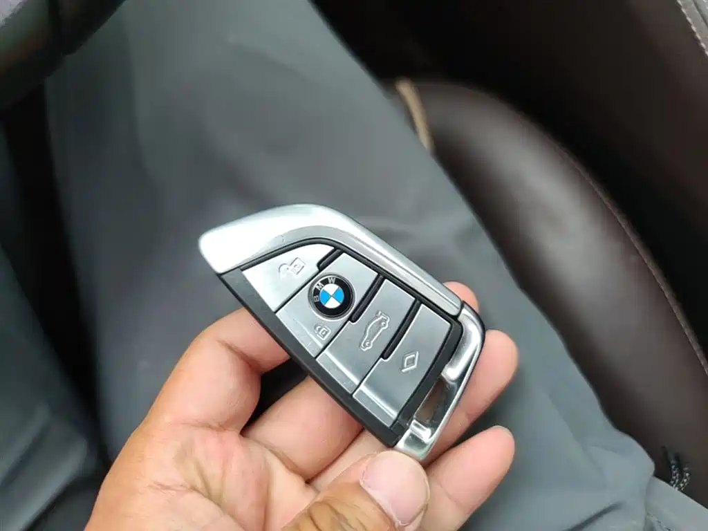 BMW 5 Series New Energy 2019 Facelift 530Le Luxury Package фото 9