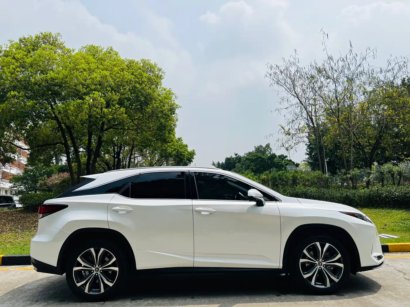 Lexus RX 2020 Facelift 300 AWD Elegance Edition фото 7