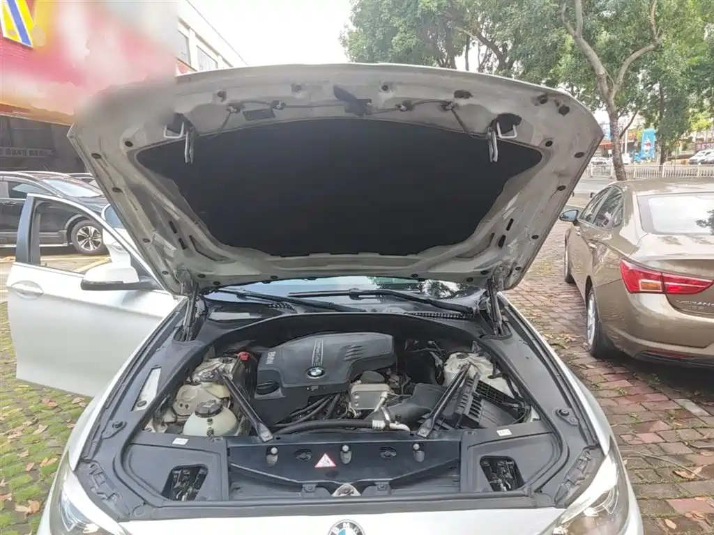BMW 5 Series 2014 525Li Leading фото 20