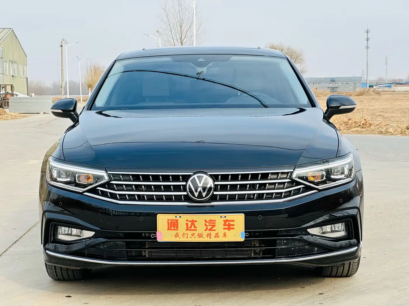 Volkswagen Magotan 2025 Facelift Public Edition 330TSI DSG Luxury фото 3