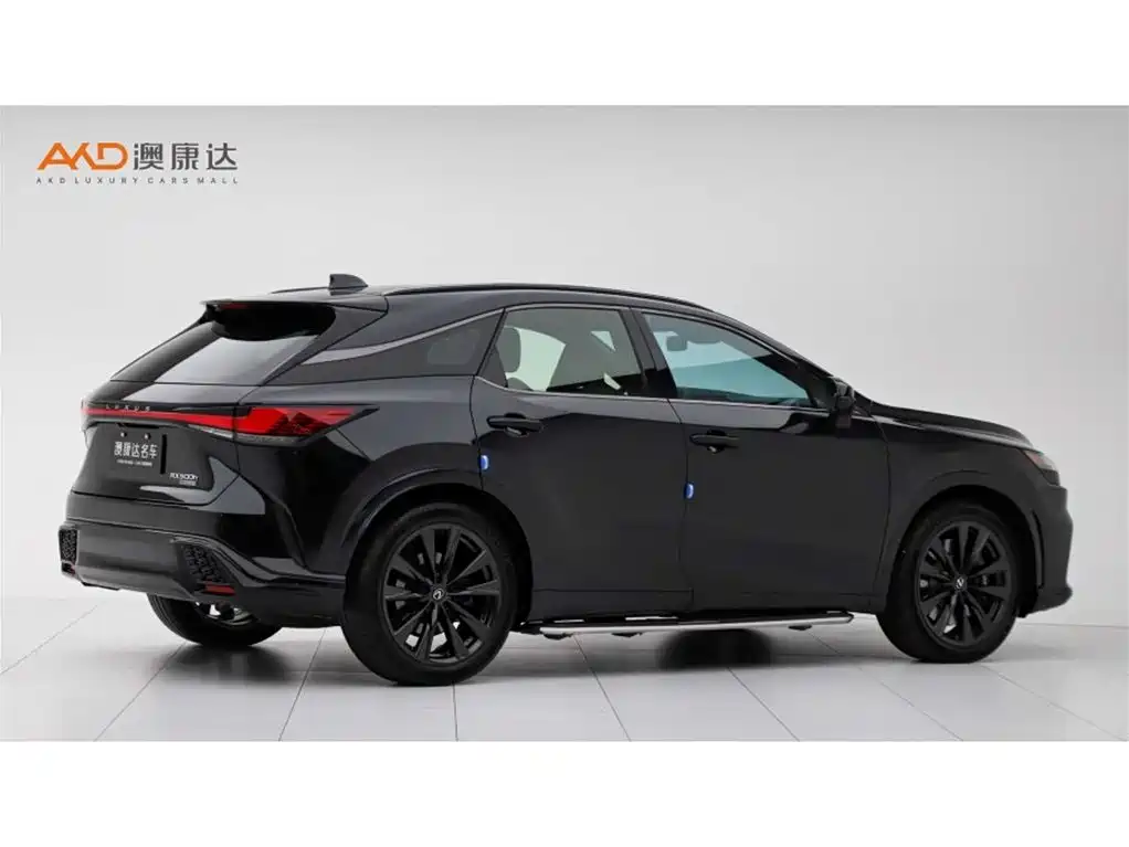 Lexus RX 2023 500h 4WD F SPORT Performance фото 3