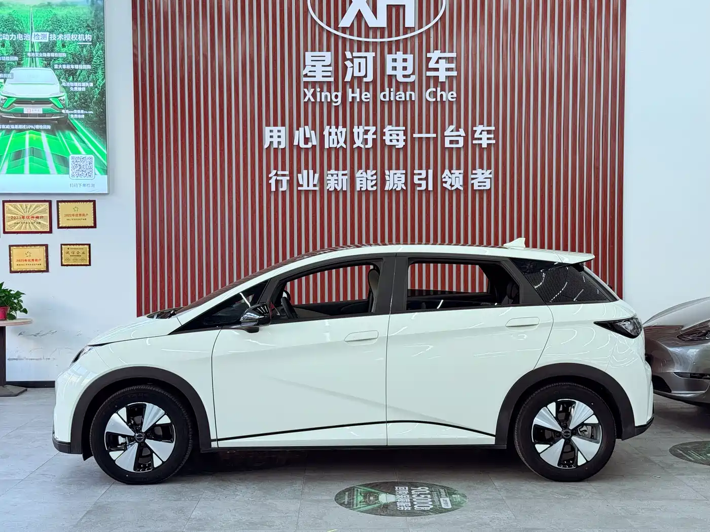 BYD Dolphin 2024 Glory Edition 420km Fashion Edition фото 4