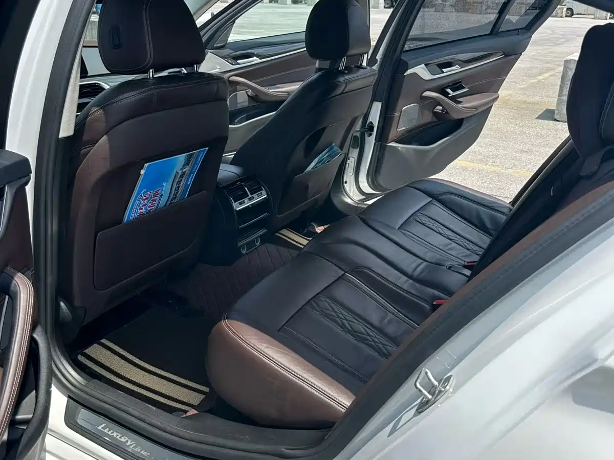BMW 5 Series 2018 530Li Leading Luxury Package фото 7