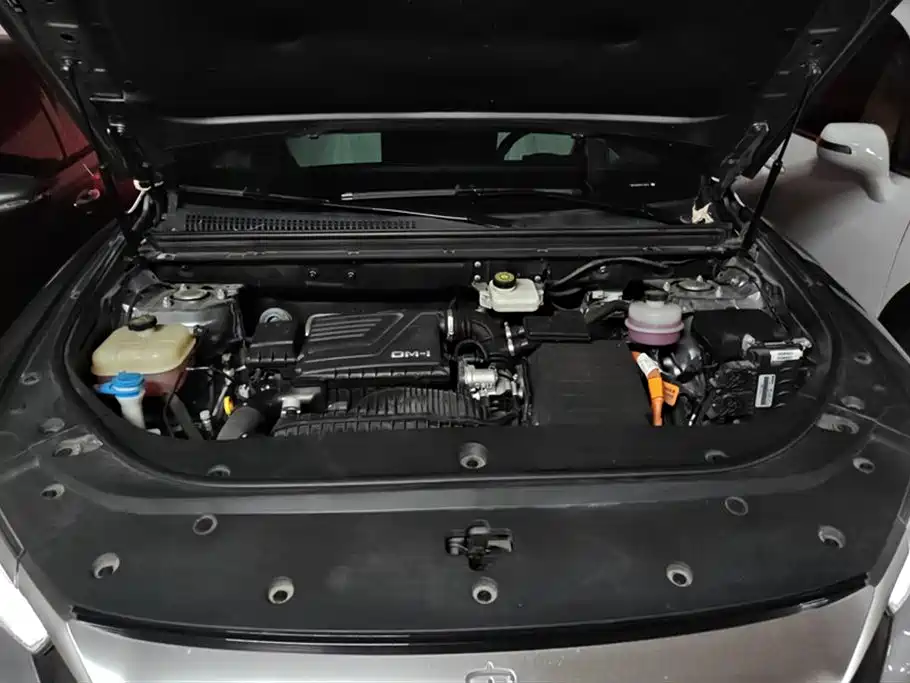 BYD Song Pro New Energy 2023 Champion Edition DM-i 110KM Excellence фото 10