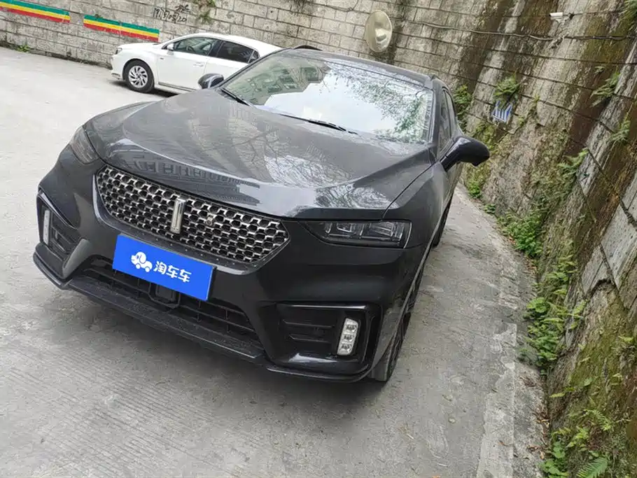 WEI PAI WEI BRAND VV7