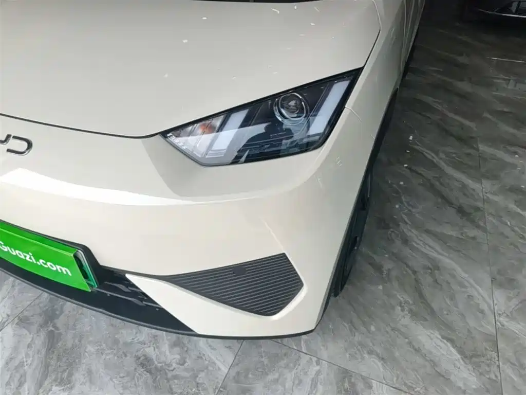 BYD Seagull 2025 Smart Drive Edition 305km Vitality Version фото 24