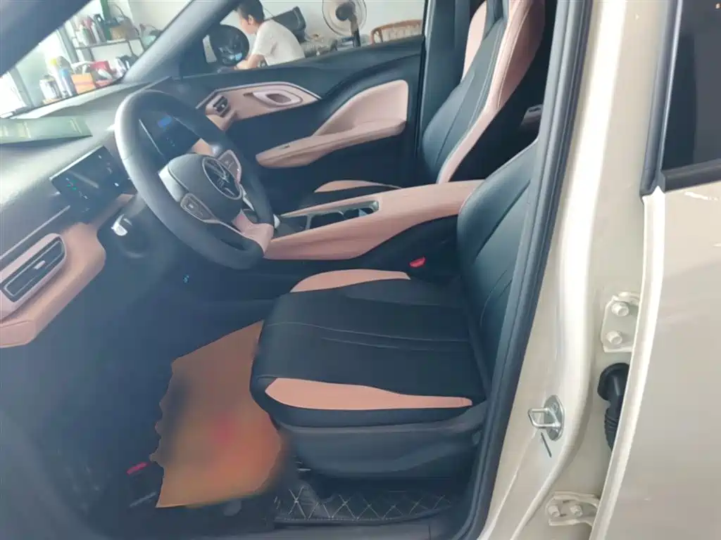 BYD Seagull 2025 Smart Drive Edition 305km Vitality Version фото 15