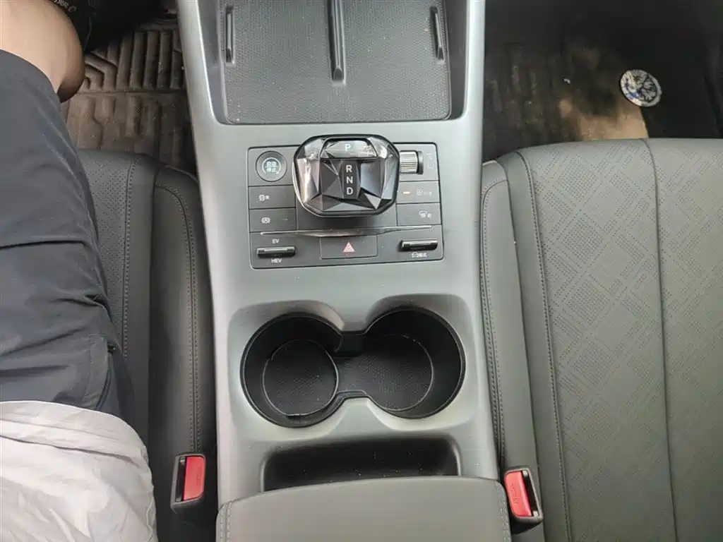 BYD Qin PLUS 2025 DM-i Smart Drive 55KM Leader фото 14