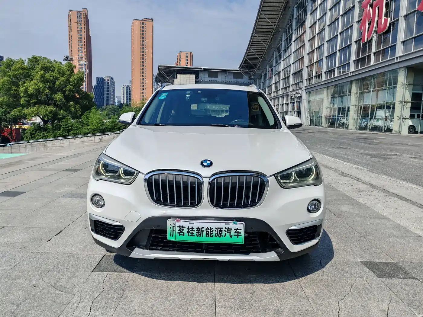 BMW X1 New Energy 2018 xDrive25Le Luxury Model фото 2